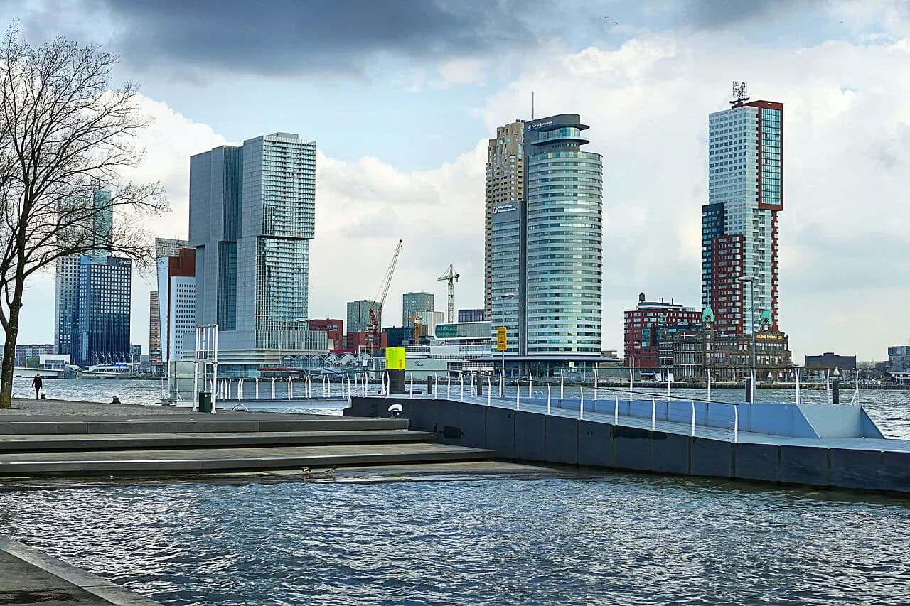 Rotterdam Shore Excursions: Ship Tours vs Going It Alone