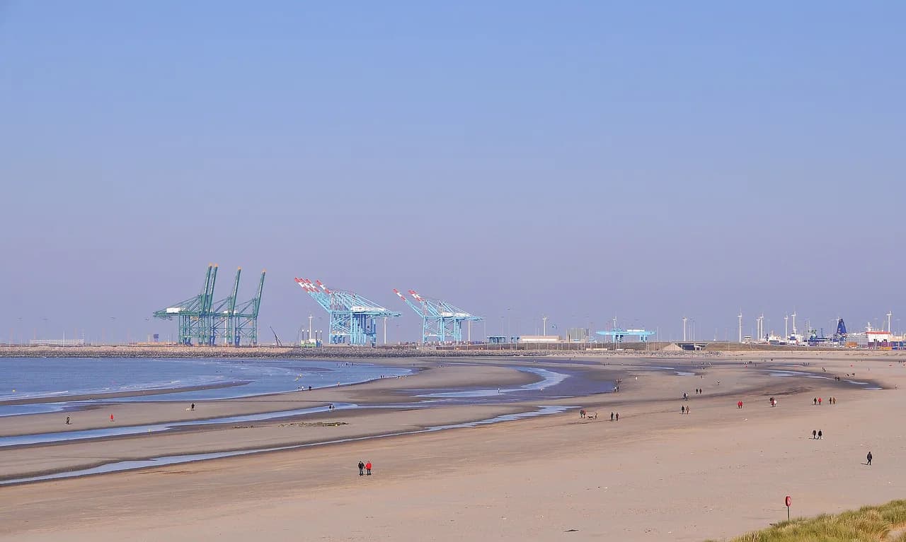 Zeebrugge Cruise Port to City Centre: Bruges vs Blankenberge