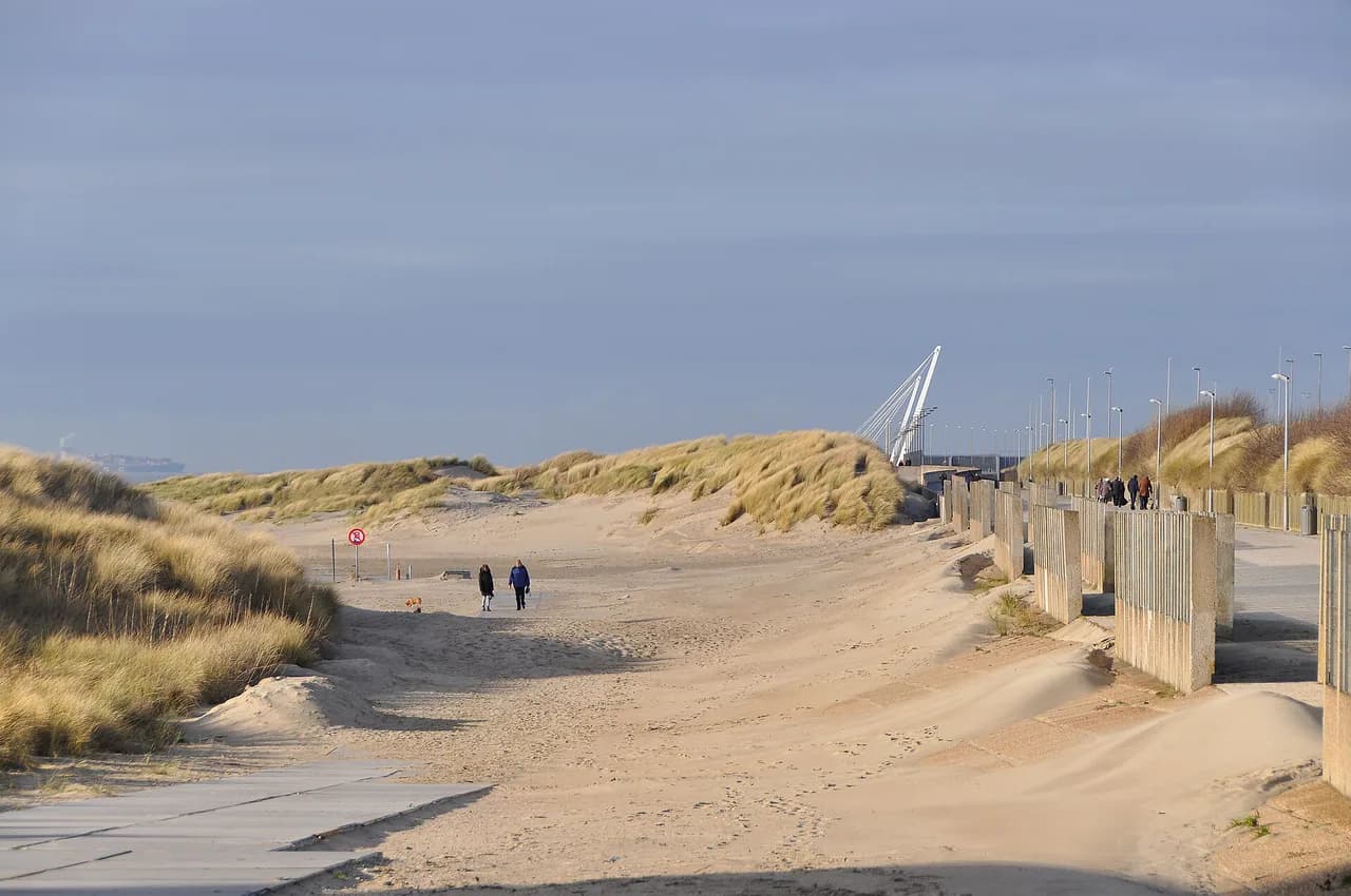 Zeebrugge Cruise Port Guide: Getting to Bruges and Beyond