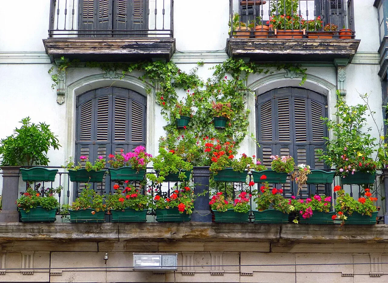 Bilbao - Calle Ribera (Casco Viejo)