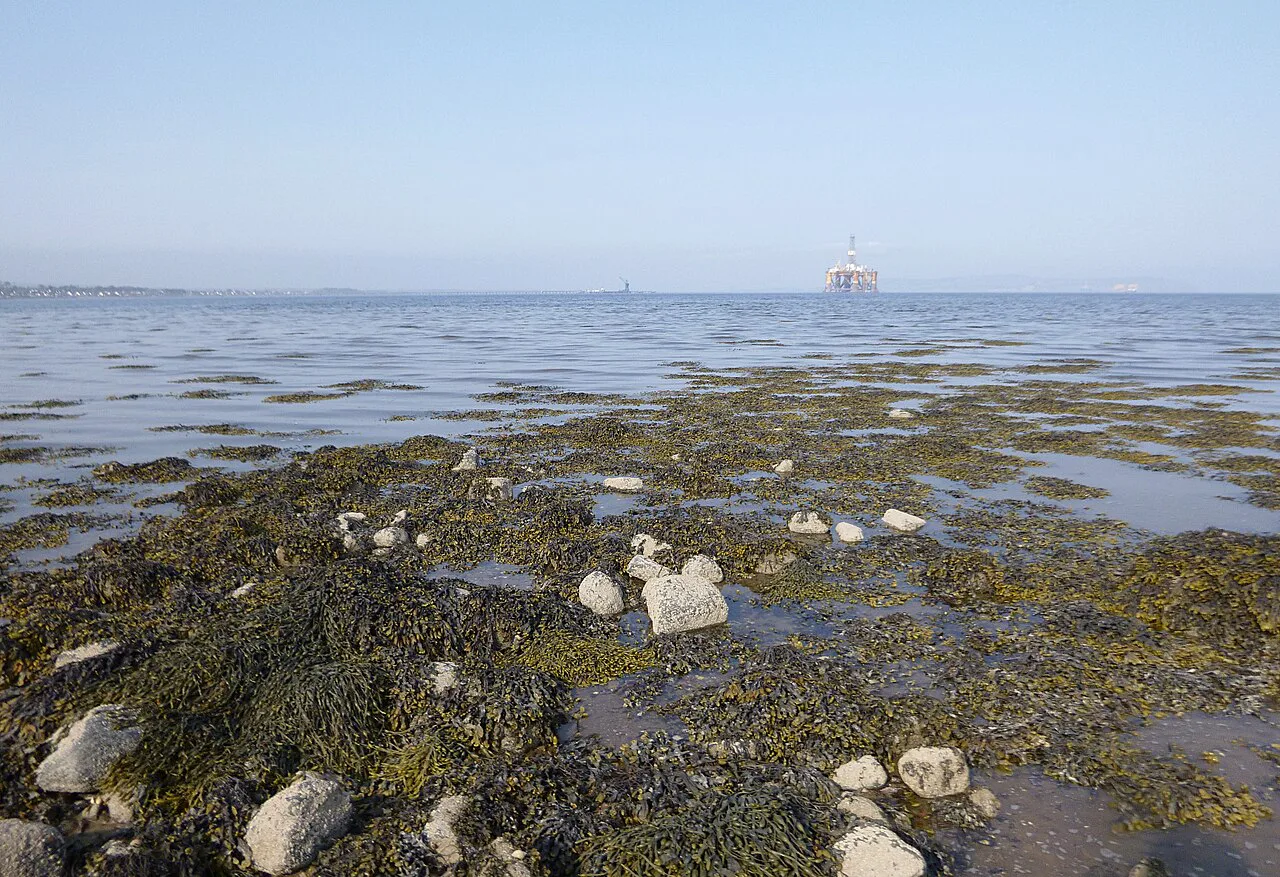 Off Newhall Point - geograph.org.uk, Invergordon