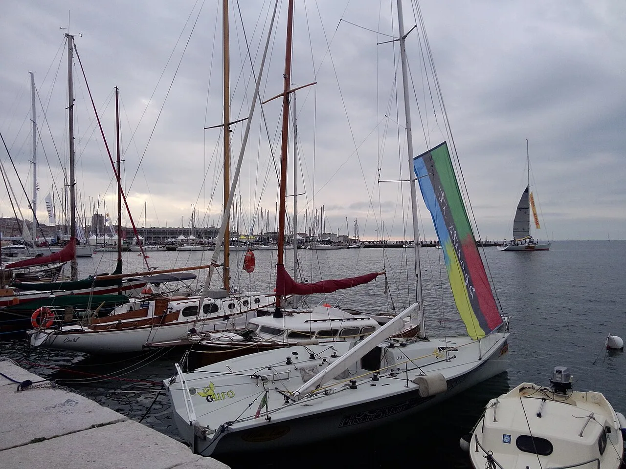 Barcolana, Molino, Trieste