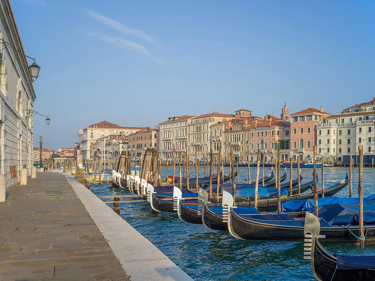 Gondole sul Canal Grande Dogana Venezia, Venice