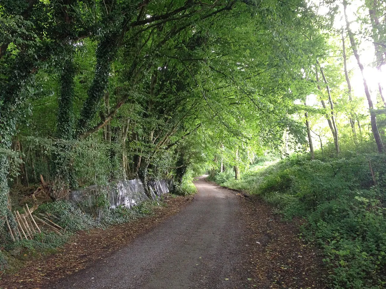 Commority Road, Vigo - geograph.org.uk